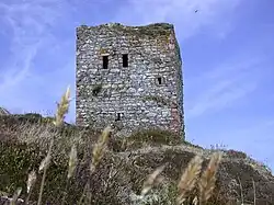 Castillo de la isla de Ailsa Craig