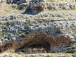 Entorno de Cueva Labrada: ermitorio alto medieval, escenario de leyendas, escenario de romerías y hogar de Buitres Leonados