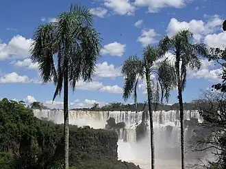 Vista parcial de las cataratas del Iguazú, en el extremo noroeste de la Provincia de Misiones.