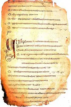 Cathach de San Columba,[51]​ siglo VII.