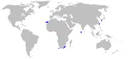 Distribución de la especie (en azul)