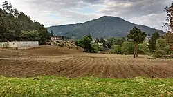 Cultivos de trigo en San Carlos Sija, con el cerro de Sija al fondo.