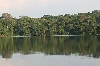 Parque Nacional Madidi