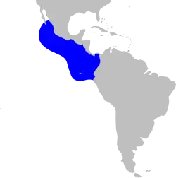 Distribución más frecuente, con avistamientos en otros lugares