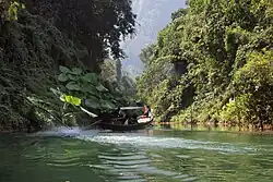 Rica flora, orilla del lago