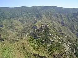 Roque de los Pinos.