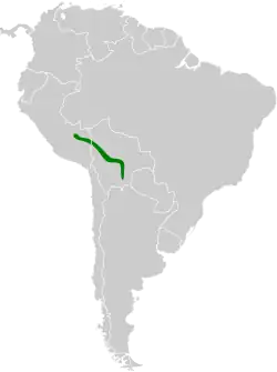 Distribución geográfica del saltarín yunga.