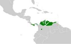 Distribución geográfica del saltarín lanceolado.