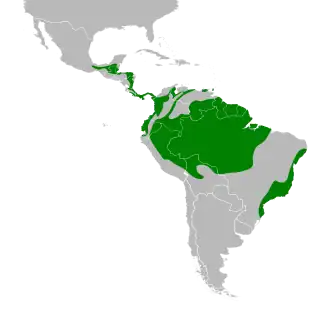 Distribución geográfica del mielero verde.