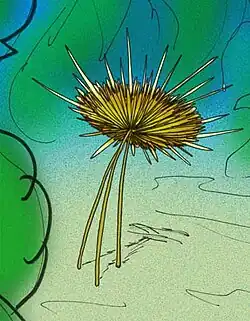 reconstruccion_choia_carteri