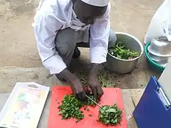 Preparación del Dodo