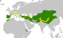 alt=Distribución de las especies de este género. Pyrrhocorax pyrrhocorax Pyrrhocorax graculus Ambas especies