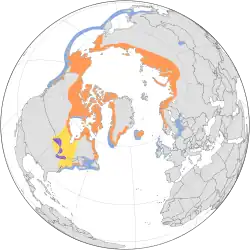 Mapa de distribución. En naranja: zonas de nidificación, en amarillo: área de migración, en azul: áreas de invernada