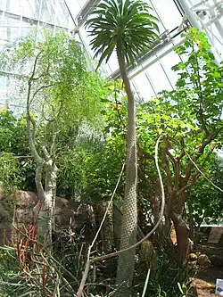 Interior del invernadero.