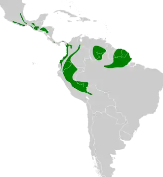 Distribución geográfica del ticotico castaño.
