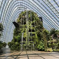 Una foto del Cloud Forest, Gardens by the Bay, capturada en 2018