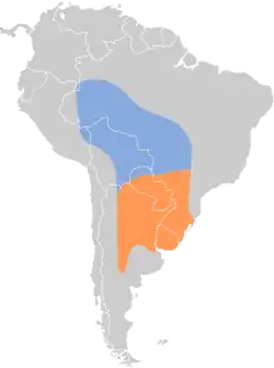 Distribución geográfica del cuclillo ceniciento.