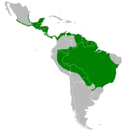 Distribución geográfica del martinete cucharón.