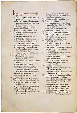 Codex Amiantinus, siglo VIII d. C.
