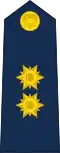 Brigadier general del Aire de la Fuerza Aérea.