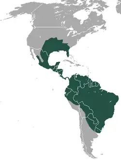 Distribución de D. novemcinctus
