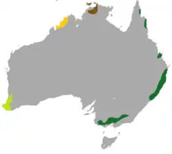 Mapa de distribución de Phascogale tapoatafa: Ph. t. tapoatafa. Ph. t. pirata.