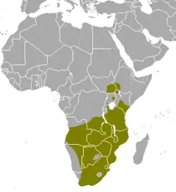 Distribución del eland común