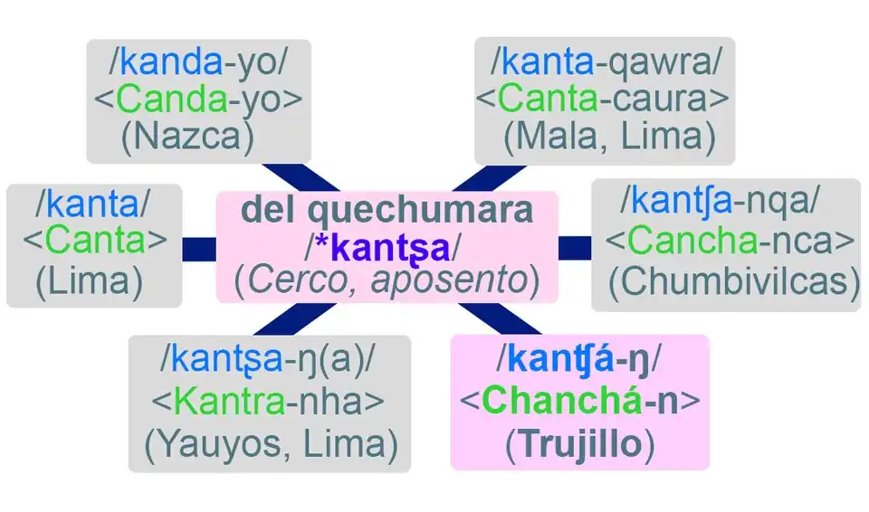 Se muestra al topónimo Chanchán relacionado con otros topónimos que tienen la misma raiz quechumara /*kantʂa/ (que es lo mismo como lo escribe en /*kanĉa/).