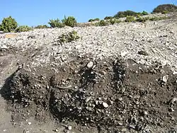 Conchero en erosión en La Cebada, Región de Coquimbo, Chile.