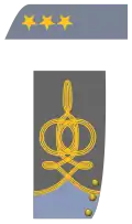 Coronel (de Infantería)
