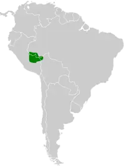 Distribución geográfica del cotinga carinegro.