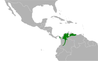 Distribución geográfica del conirrostro orejiblanco
