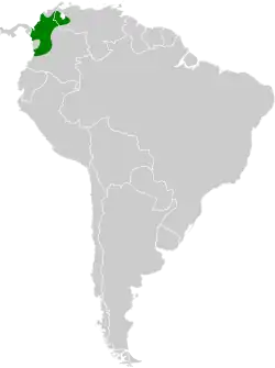 Distribución geográfica del saltarín gorgiblanco oriental.