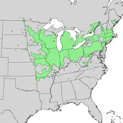 Distribución natural de Cornus racemosa