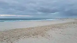 Sebadales de Corralejo