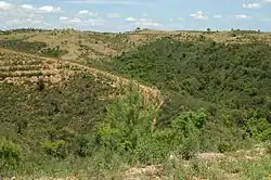 Corredor Ecológico del Río Guadiamar