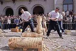 Fiesta de los Gabarreros