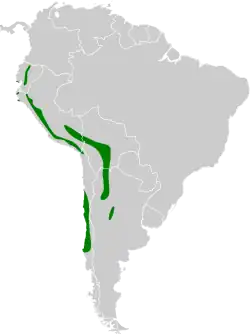 Distribución geográfica del yal platero.