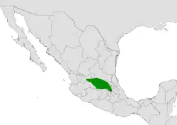 Coryphantha cornifera