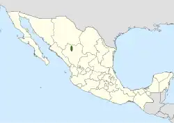 Coryphantha longicornis