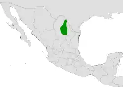 Coryphantha neglecta