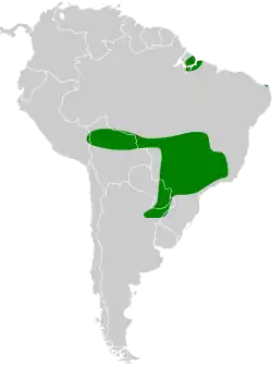 Distribución geográfica del cachilo enmascarado.