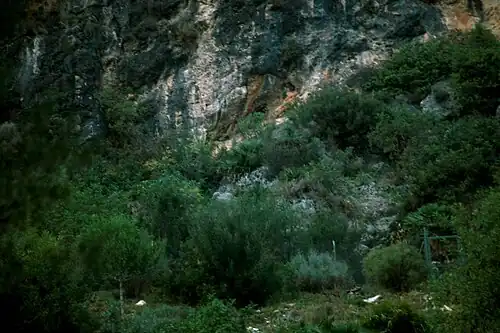 Entrada principal de la cueva de les Rates Penades.