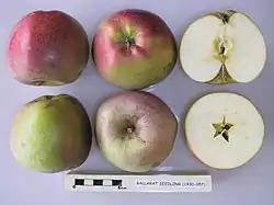 La Manzana 'Ballarat Seedling' seccionada.