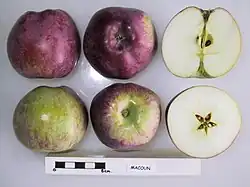 La Manzana 'Macoun' seccionada.
