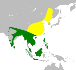 Distribución de Cuculus micropterus.
