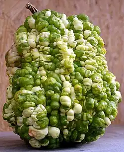 De tipo "Gremlin"[cita 81]​ (en gral recargado de verrugas, de formas y colores extraños y llamativos).