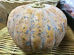 Antracnosis quizás por Glomerella lagenarium (= Colletotrichum orbiculare)