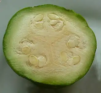 2014. Color de pulpa.