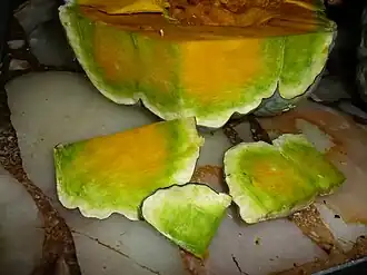 Otra planta, quizás otra variedad. La subepidermis blanca es la parte "piedra" de la cáscara.[78]​ Este zapallo se pudo pelar con cuchillo de cocina sólo luego de hornearlo unos pocos minutos en microondas. Era dulce y de buen sabor. La dureza de la cáscara se hereda de forma relativamente directa en estas especies.[nota 11]​